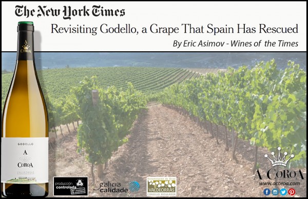 The New York Times highlights again the godello A Coroa among the best in the United States.