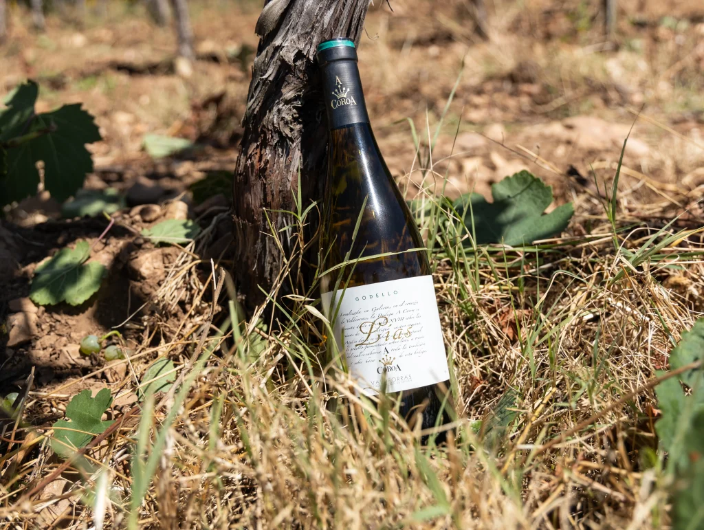 A Coroa Lías 2025, vino Godello 100% de Valdeorras